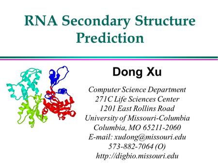 RNA Secondary Structure Prediction