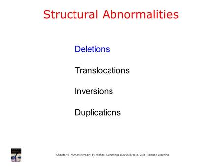 Chapter 6 Human Heredity by Michael Cummings ©2006 Brooks/Cole-Thomson Learning Structural Abnormalities Deletions Translocations Inversions Duplications.