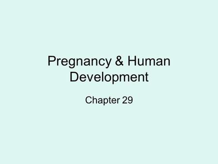 Pregnancy & Human Development