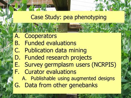 Case Study: pea phenotyping A.Cooperators B.Funded evaluations C.Publication data mining D.Funded research projects E.Survey germplasm users (NCRPIS) F.Curator.