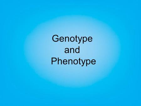 Genotype and Phenotype. Allele from male parentAllele from female parent Gene for fur color.