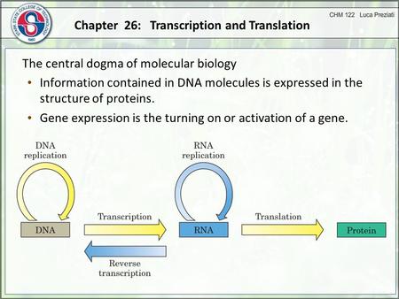 Chapter 26: Transcription and Translation