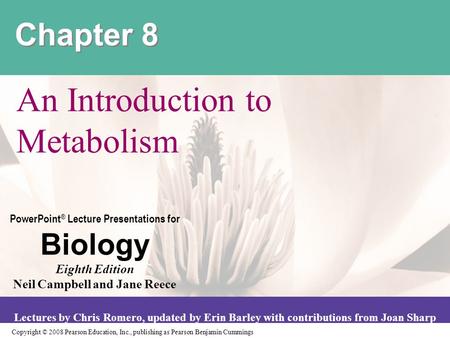 An Introduction to Metabolism