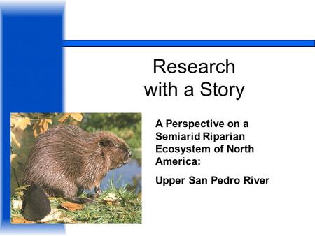 Research with a Story A Perspective on a Semiarid Riparian Ecosystem of North America: Upper San Pedro River.