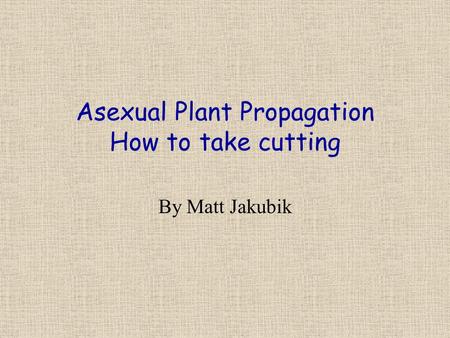 Asexual Plant Propagation How to take cutting By Matt Jakubik.