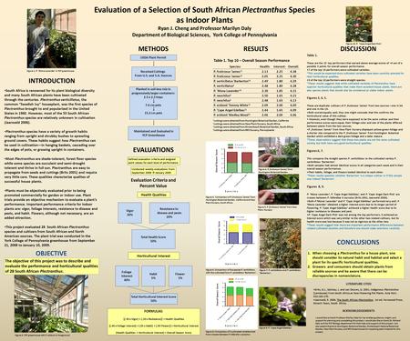 Evaluation of a Selection of South African Plectranthus Species as Indoor Plants Ryan J. Cheng and Professor Marilyn Daly Department of Biological Sciences,