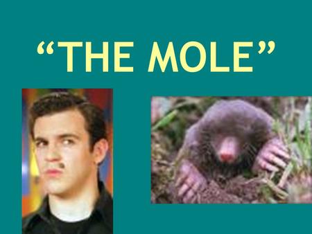 “THE MOLE” Counting Quantities 1.) You can count how many of something you have…… 12 doughnuts in a dozen 10 pins knocked down for a strike 2.) You can.