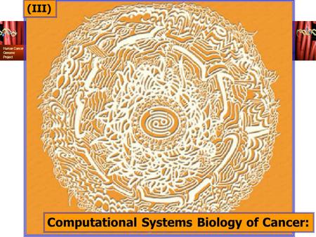 Human Cancer Genome Project Computational Systems Biology of Cancer: (III)