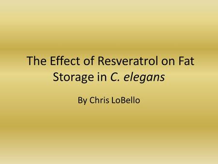 The Effect of Resveratrol on Fat Storage in C. elegans By Chris LoBello.