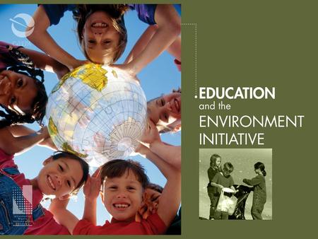 MODEL CURRICULUM Goal and Purpose of the Model Curriculum Goal: The EEI Model Curriculum will provide a K-12th grade instructional continuum that helps.