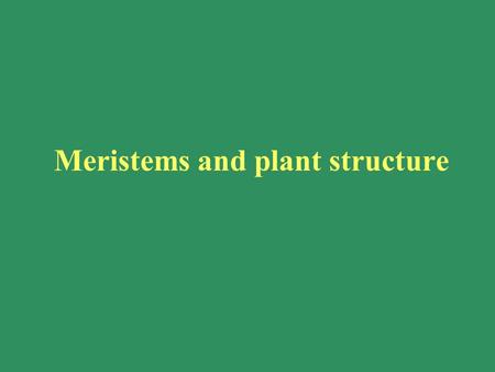 Meristems and plant structure