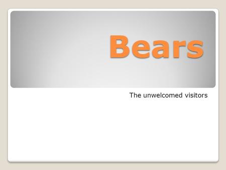 Bears The unwelcomed visitors. One of our visiting bears Under no circumstances should you attempt to photograph or approach a bear in any way.