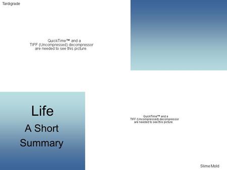 Life A Short Summary Slime Mold Tardigrade. What is Life? Composed of organic compounds Resistance to entropy (disorder) –Requires energy (must be able.