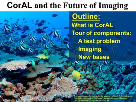 UCRL-PRES-?????? CorAL and the Future of Imaging This work was performed under the auspices of the U.S. Department of Energy by University of California,