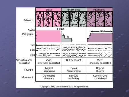 EEG Patterns During Sleep Thalamocortical oscillations in vivo. Sleep spindle oscillations are generated by synapses in the thalamus. (A, left) Potentials.