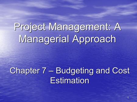 Project Management: A Managerial Approach