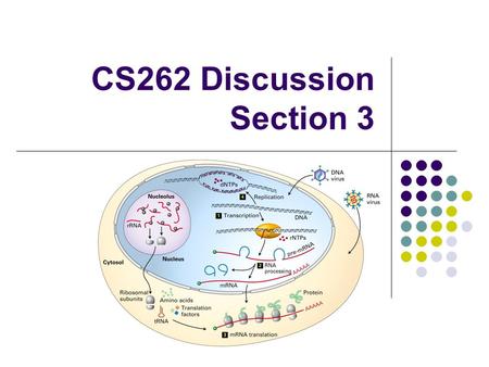 CS262 Discussion Section 3. Topics for today DNA replication DNA sequencing: Biological tools Transposons “Out of Africa” hypothesis of human origins.