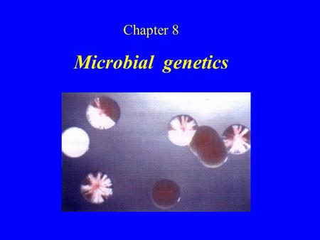 Chapter 8 Microbial genetics.