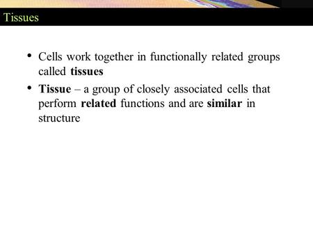 Tissues Cells work together in functionally related groups called tissues Tissue – a group of closely associated cells that perform related functions and.