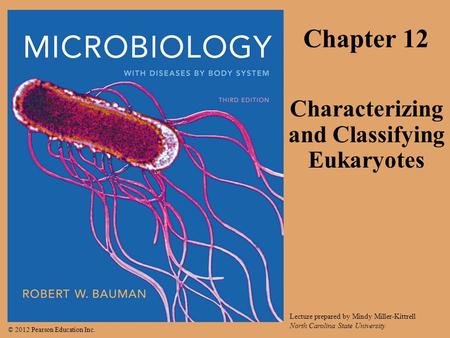 Characterizing and Classifying Eukaryotes