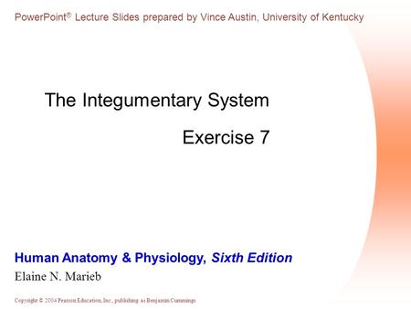 Copyright © 2004 Pearson Education, Inc., publishing as Benjamin Cummings Human Anatomy & Physiology, Sixth Edition Elaine N. Marieb PowerPoint ® Lecture.