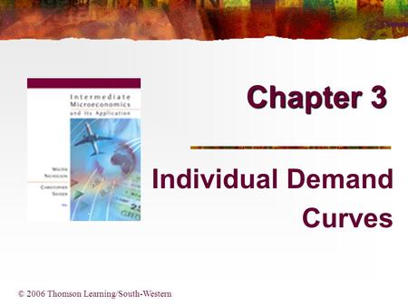 Individual Demand Curves