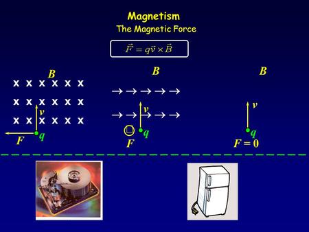 Magnetism The Magnetic Force x x x v F B q  v F B q   v F = 0 B q.