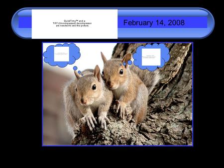 February 14, 2008. Amelogenesis - The Formation of Enamel A.Hard Tissue Formation B.Amelogenesis C.Structure of Enamel D.Clinical Correlations E.Enamel.