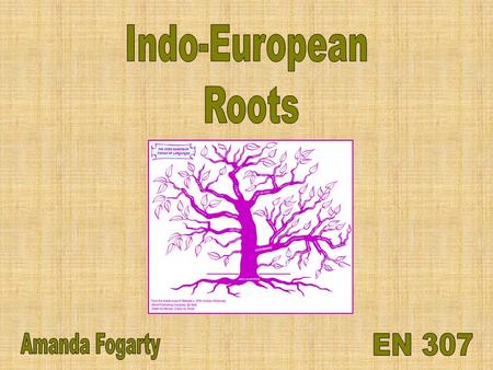 18 th century mercantilism and colonialism = introduction of Sanskrit to European scholars Similarities between Sanskrit and European languages proved.