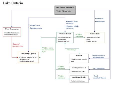 Wetland Habitat Meadow marsh area Cattail area Floating leaf area Lake Ontario Water Level Weekly WL time series Water Temperature Nearshore temperature.