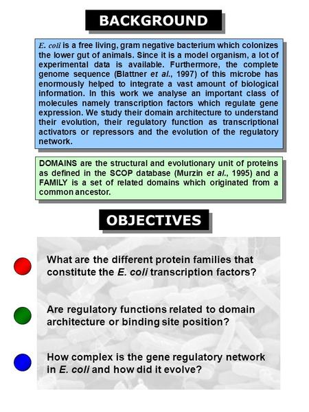 BACKGROUND E. coli is a free living, gram negative bacterium which colonizes the lower gut of animals. Since it is a model organism, a lot of experimental.