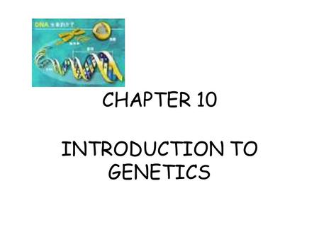 INTRODUCTION TO GENETICS