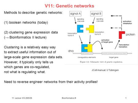 11. Lecture WS 2005/06Bioinformatics III1 V11: Genetic networks Methods to describe genetic networks: (1) boolean networks (today) (2) clustering gene.