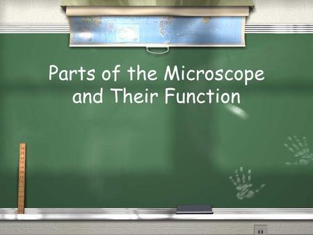 Parts of the Microscope and Their Function