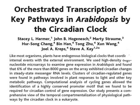 DNA Arrays …DNA systematically arrayed at high density, –virtual genomes for expression studies, RNA hybridization to DNA for expression studies, –comparative.