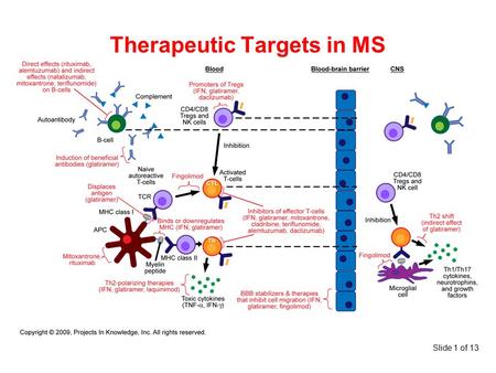 Therapeutic Targets in MS