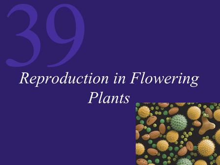 Reproduction in Flowering Plants