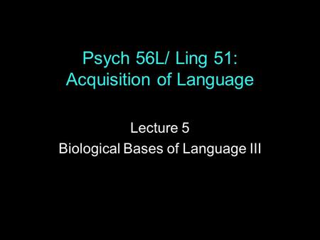 Psych 56L/ Ling 51: Acquisition of Language Lecture 5 Biological Bases of Language III.