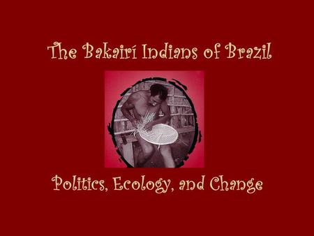 The Bakairí Indians of Brazil Politics, Ecology, and Change.