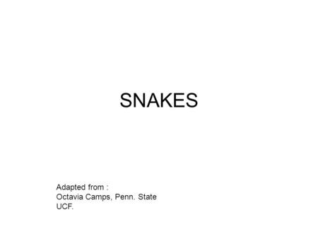 SNAKES Adapted from : Octavia Camps, Penn. State UCF.