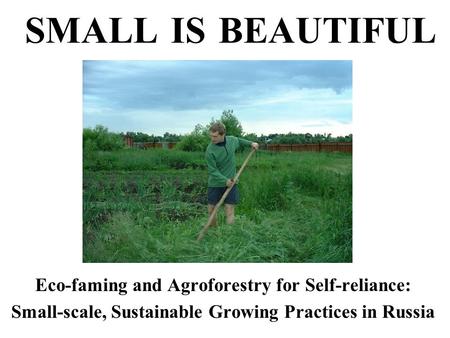 SMALL IS BEAUTIFUL Eco-faming and Agroforestry for Self-reliance: Small-scale, Sustainable Growing Practices in Russia.