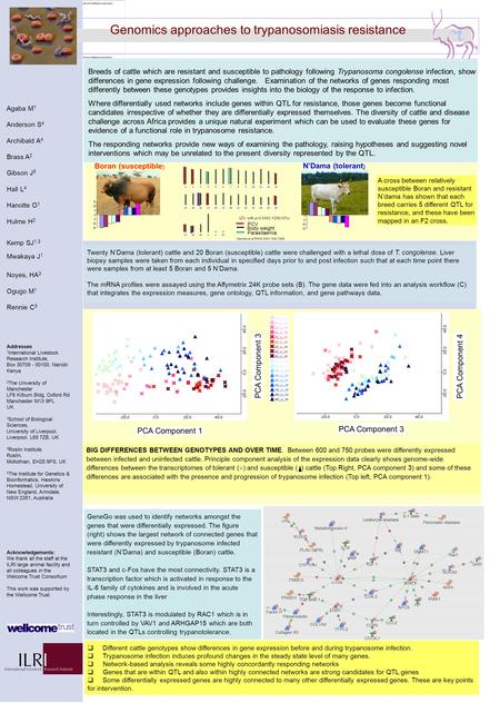 BIG DIFFERENCES BETWEEN GENOTYPES AND OVER TIME. Between 600 and 750 probes were differently expressed between infected and uninfected cattle. Principle.