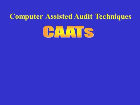 Computer Assisted Audit Techniques