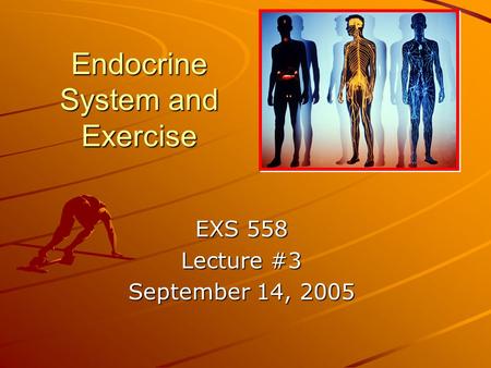 Endocrine System and Exercise EXS 558 Lecture #3 September 14, 2005.