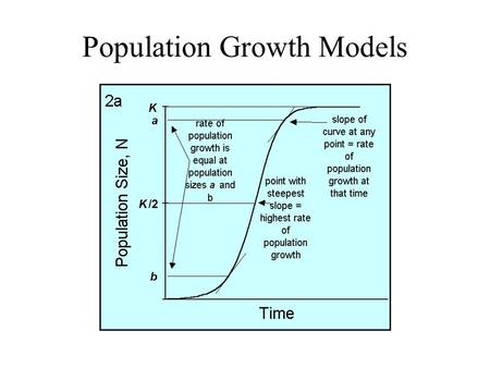 Population Growth Models. Ro – Net Reproductive Rate.