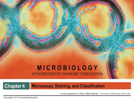 Microscopy, Staining, and Classification