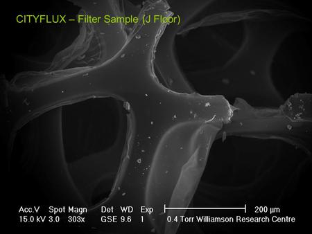 CITYFLUX – Filter Sample (J Floor)