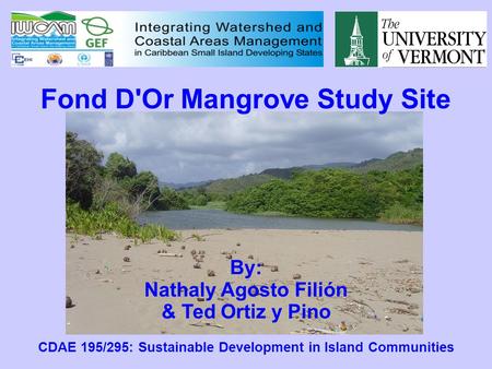 Fond D'Or Mangrove Study Site By: Nathaly Agosto Filión & Ted Ortiz y Pino CDAE 195/295: Sustainable Development in Island Communities.