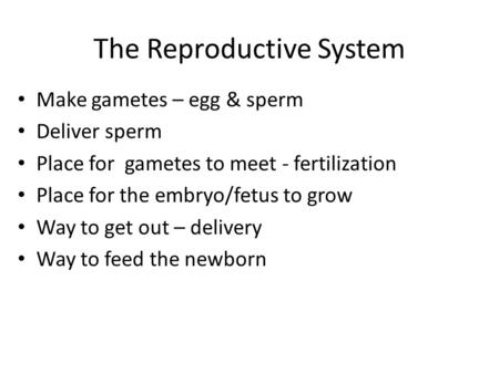 The Reproductive System