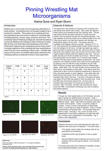 Pinning Wrestling Mat Microorganisms Alaina Goos and Ryan Sturm Figure 1a. 10x FITC Figure 1b. 10x TRITC Figure 3a. 40x FITC Figure 2a. 20x FITC Figure.